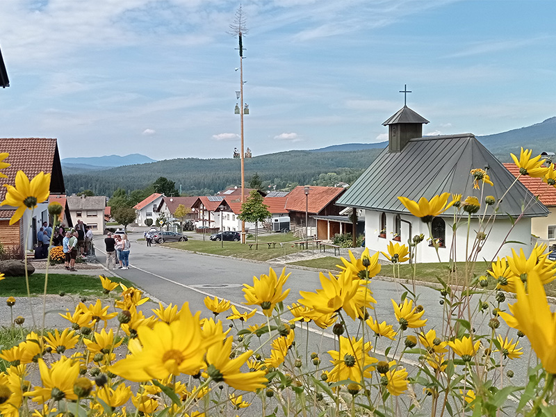 Maibaumaufstellen in St. Oswald-Riedlhütte